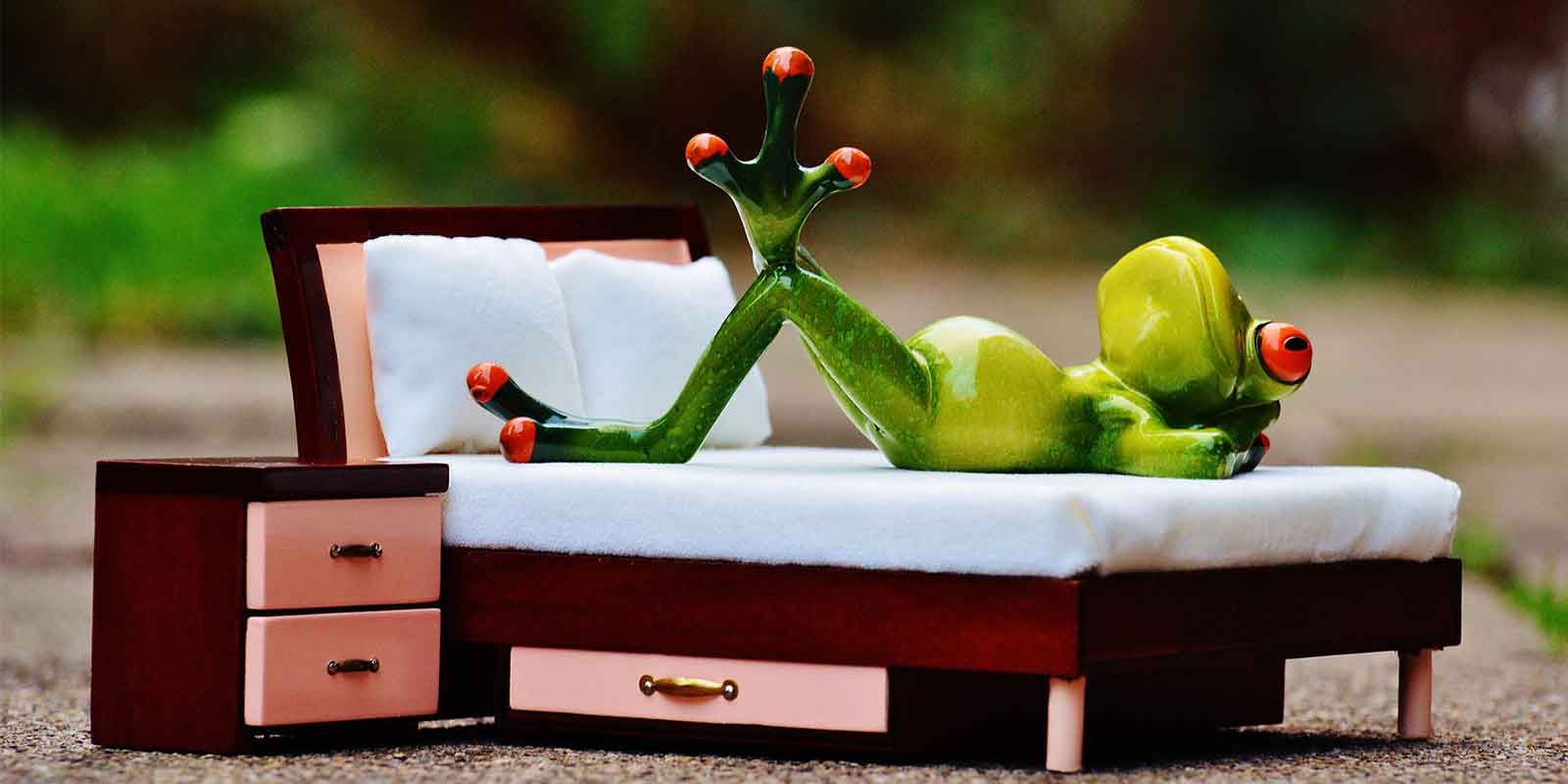 Matratze-Putzen-mit-Frosch auf dem Bett